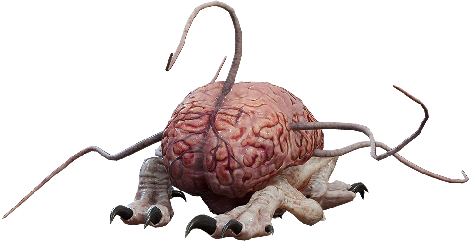 Intellect Devourer reference