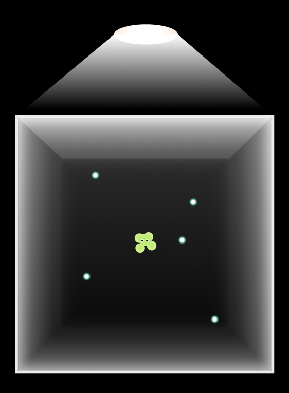 Empty terrarium under a lamp cone with glowing particles and one small creature