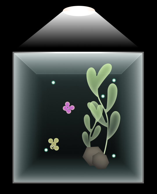 Terrarium with a plant growing on a rock substrate and two small creatures